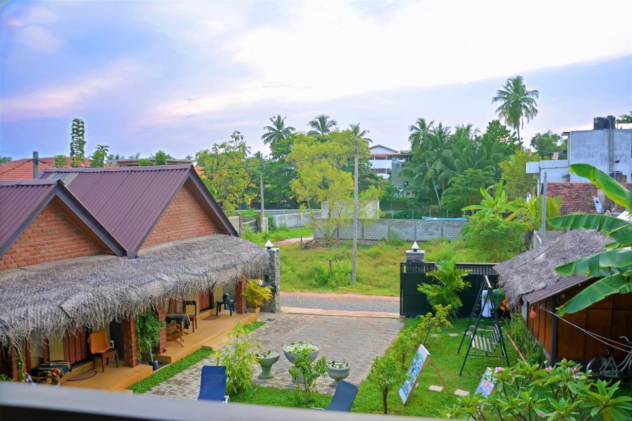 The Nature And Negombo